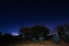 MAGUEYES-Y-ORION