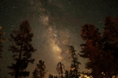 VIA-LACTEA-ENTRE-PINOS